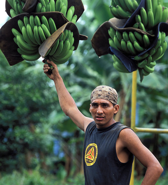 banani2